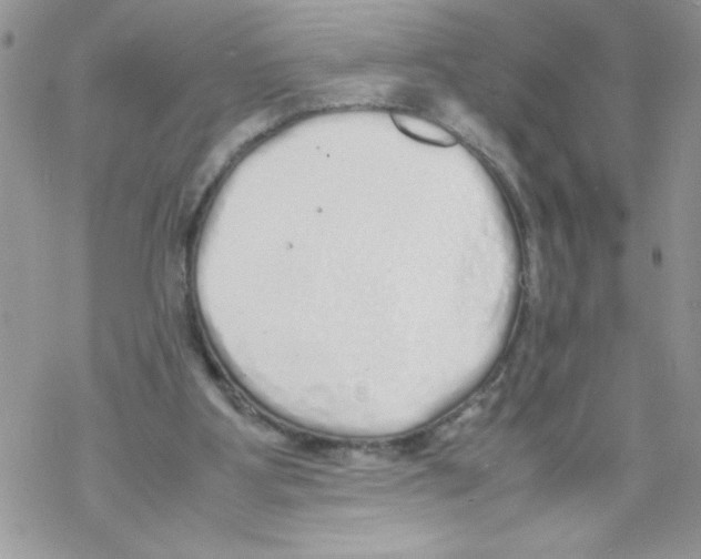 X0000069390107200606091726