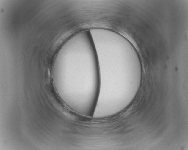 X0000069390109200606091726