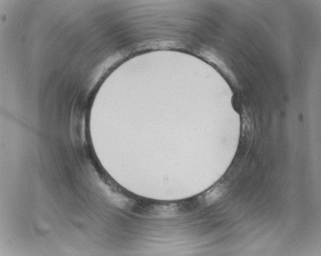 X0000069390110200606091726