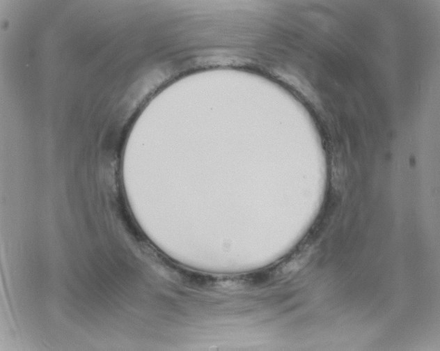 X0000069390111200606091726