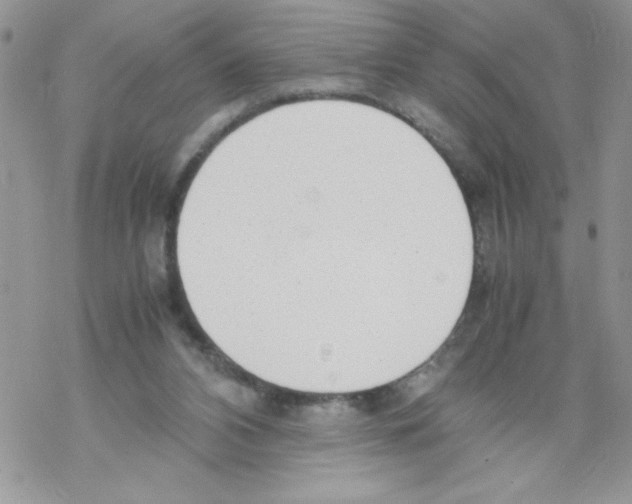 X0000069390112200606091726