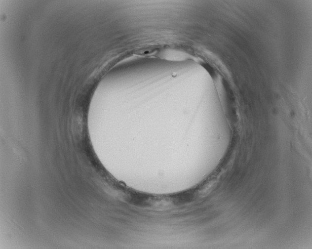 X0000069390113200606091726