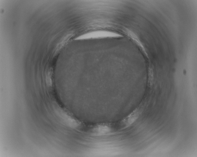 X0000069390114200606091726