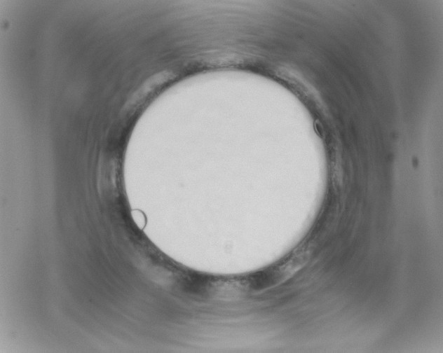 X0000069390115200606091726