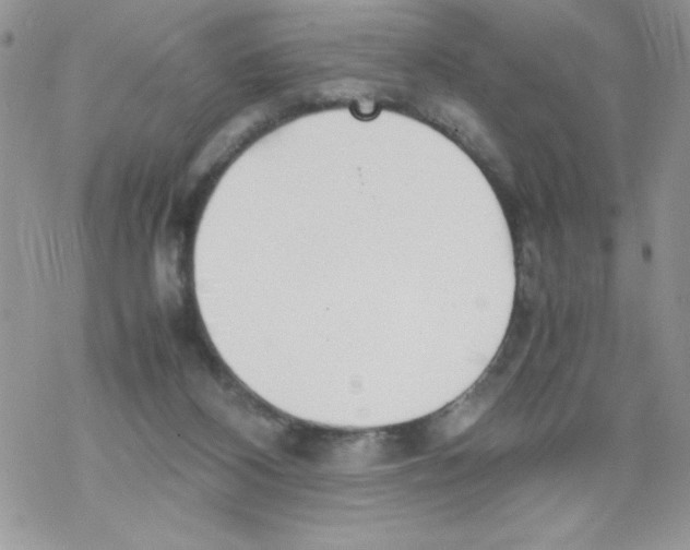 X0000069390116200606091726