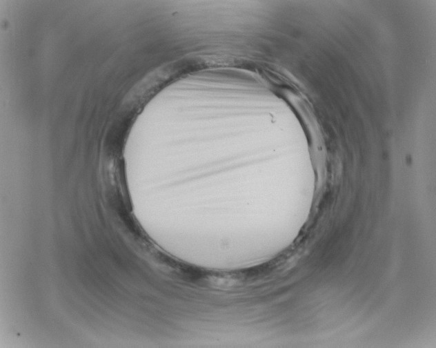 X0000069390117200606091726