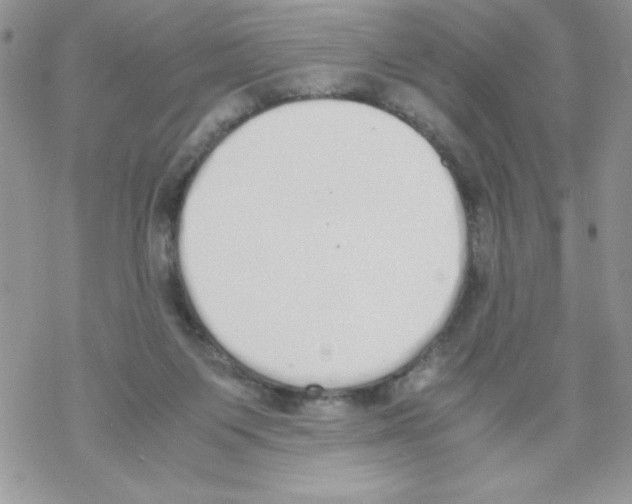 X0000069390119200606091726