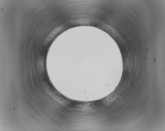 X0000069390120200606091726