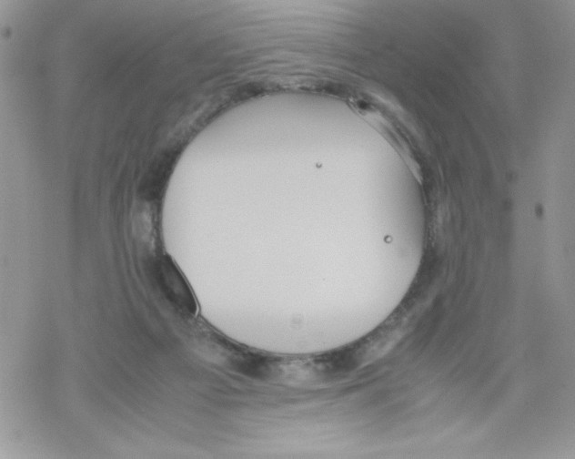 X0000069390121200606091726