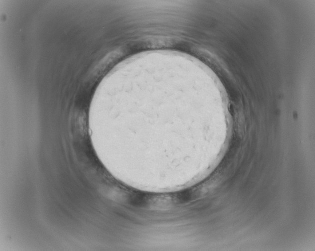 X0000069390123200606091726