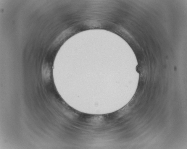 X0000069390124200606091726