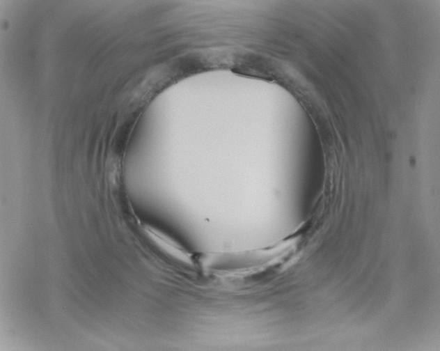 X0000069390125200606091726