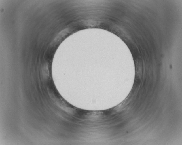 X0000069390128200606091726