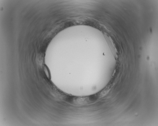 X0000069390129200606091726