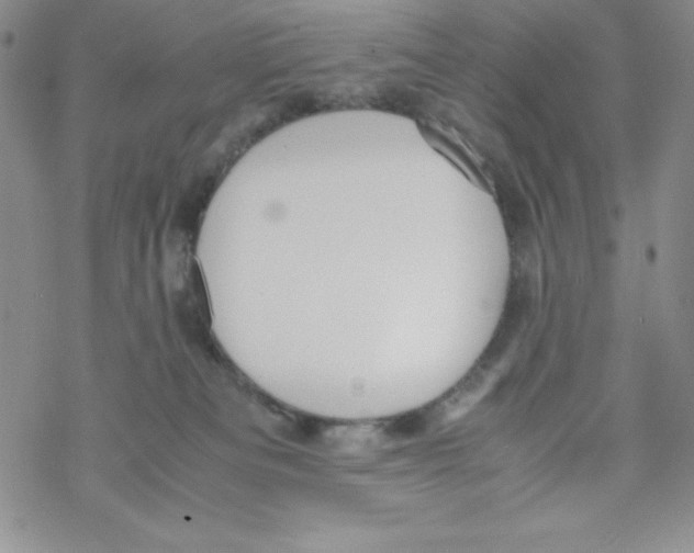 X0000069390133200606091726