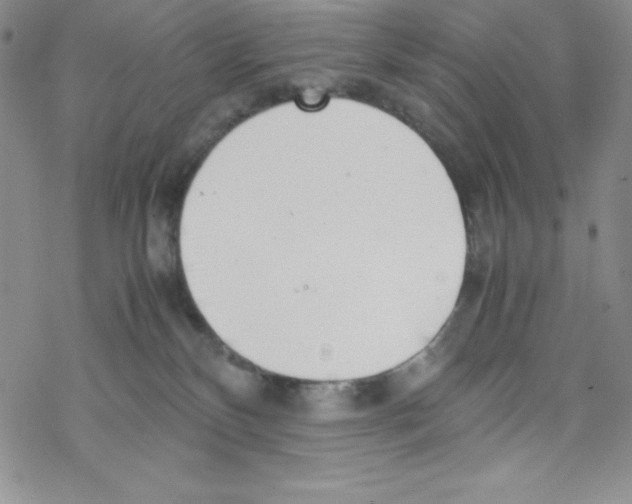 X0000069390136200606091726