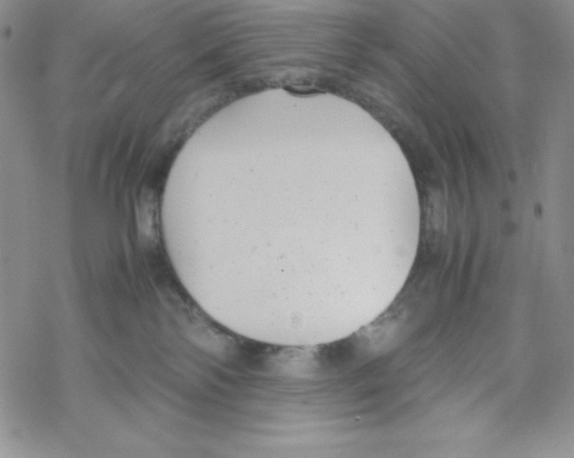 X0000069390138200606091726