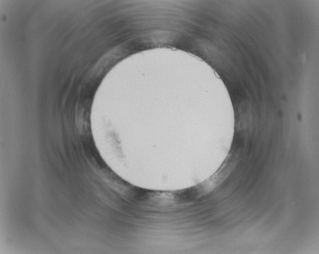 X0000069390140200606091726