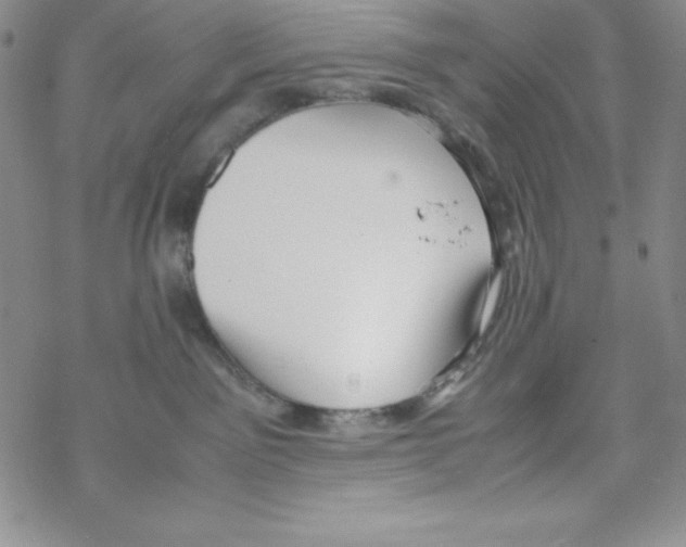 X0000069390141200606091726