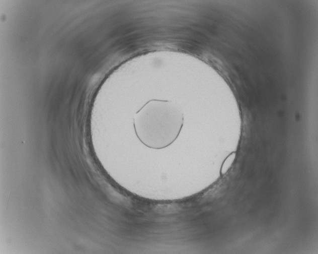 X0000069390145200606091725