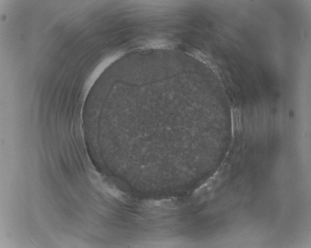 X0000069390147200606091725