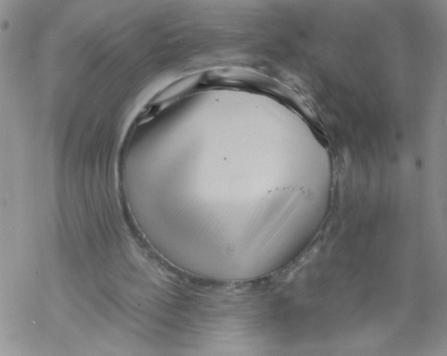 X0000069390148200606091725