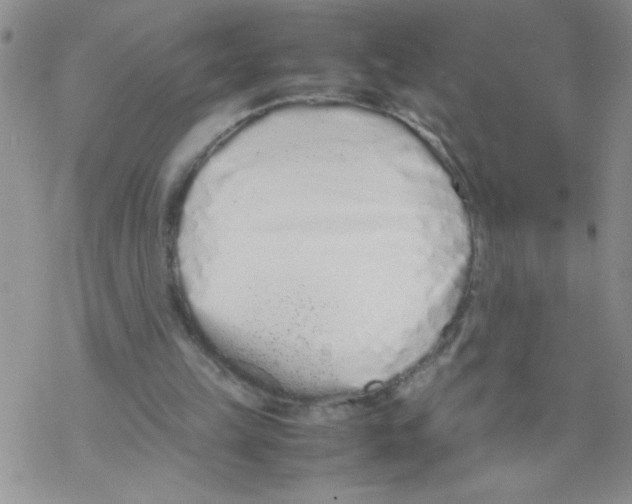 X0000069390149200606091725