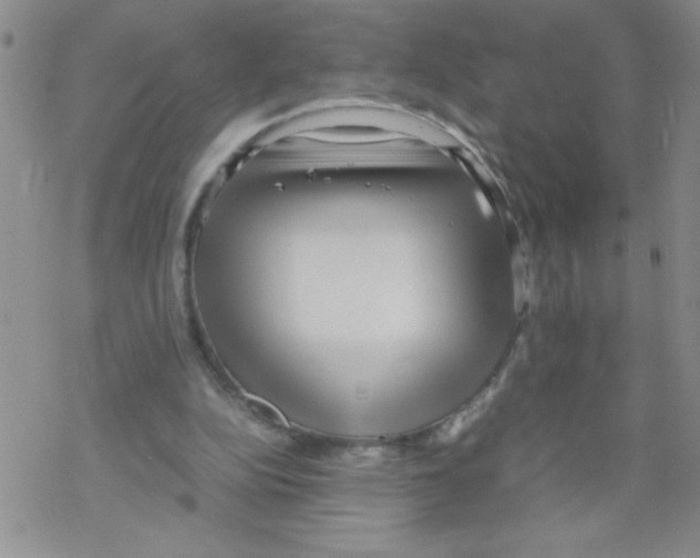 X0000069390152200606091725