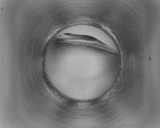 X0000069390154200606091725