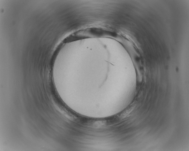 X0000069390156200606091725