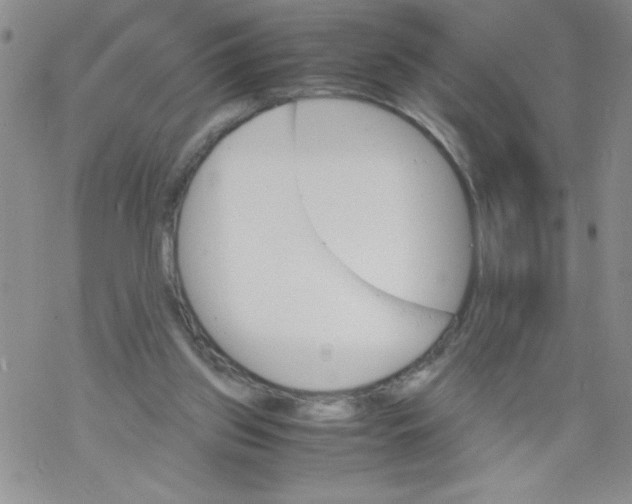 X0000069390157200606091725