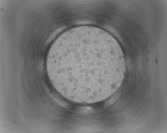 X0000069390159200606091725