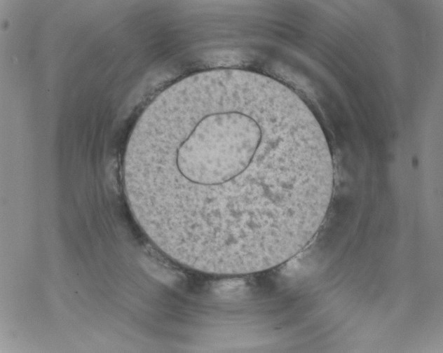 X0000069390162200606091725