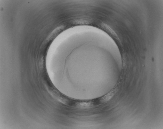 X0000069390163200606091725