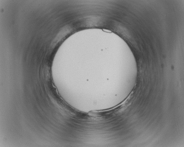 X0000069390164200606091725