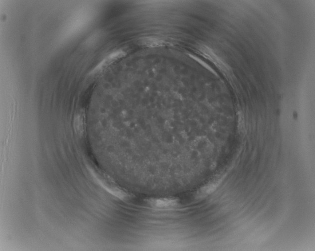 X0000069390165200606091725