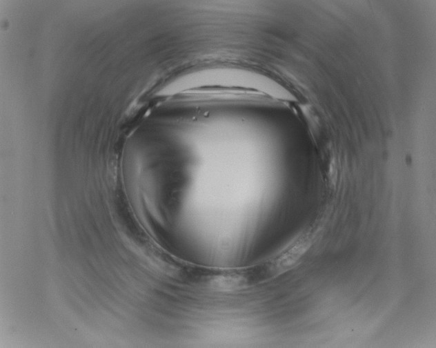 X0000069390168200606091725