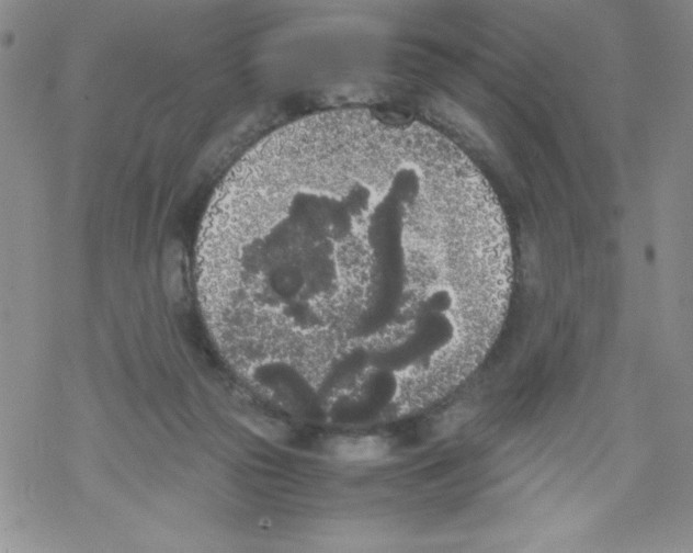 X0000069390169200606091725