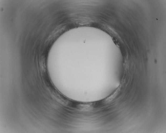 X0000069390170200606091725