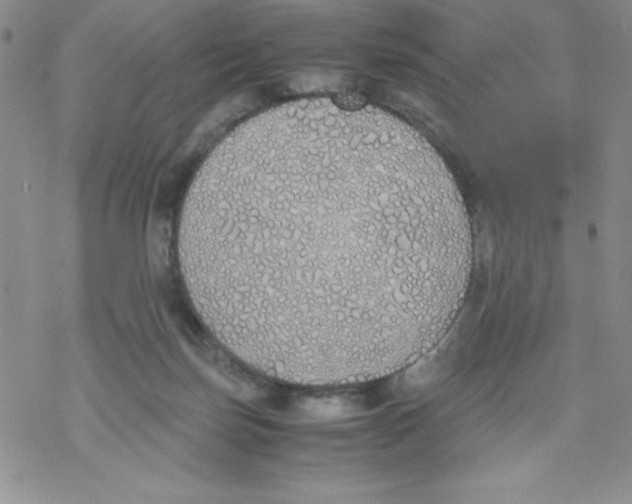 X0000069390171200606091725