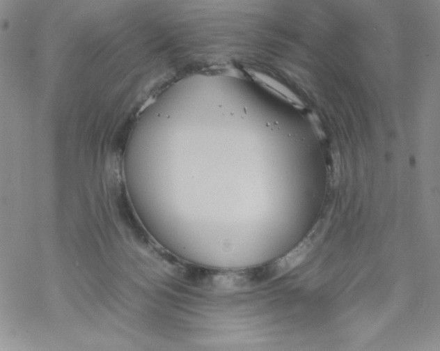 X0000069390172200606091725