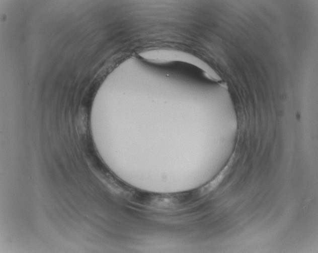 X0000069390174200606091725