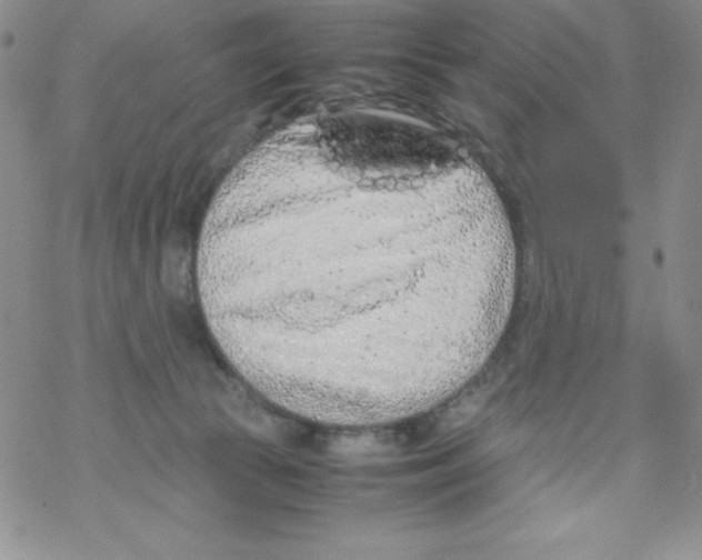 X0000069390177200606091725