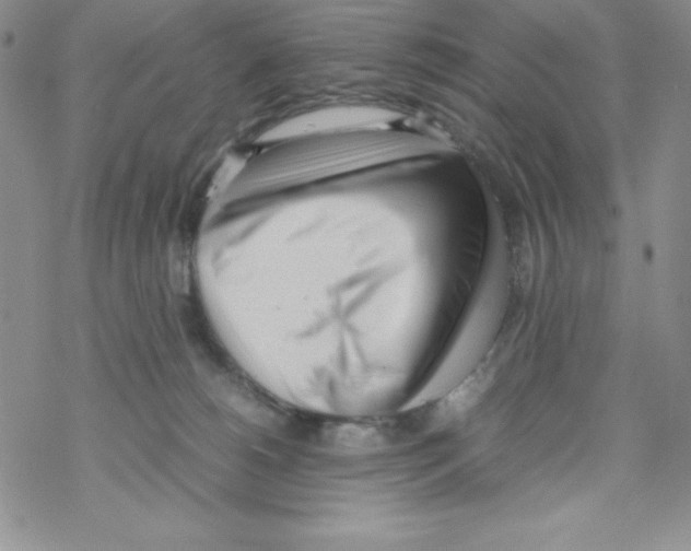 X0000069390180200606091726