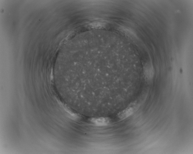 X0000069390181200606091726