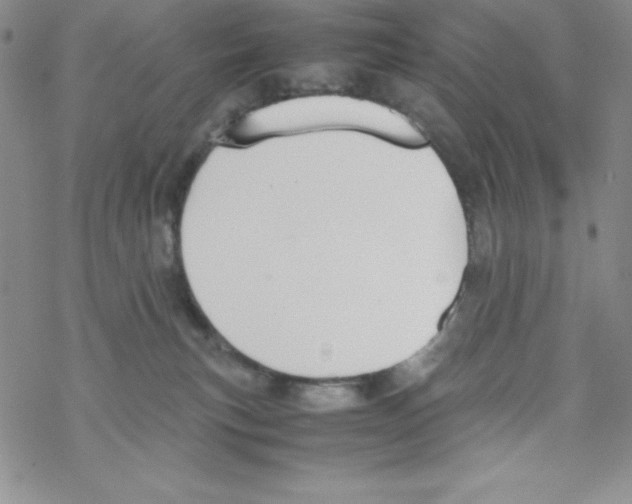 X0000069390183200606091726