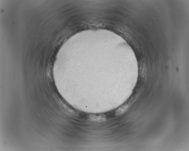 X0000069390185200606091726