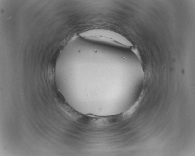 X0000069390186200606091726