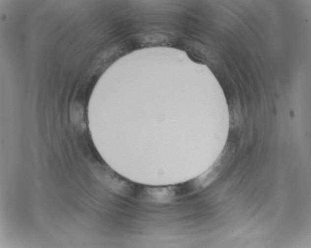 X0000069390187200606091726