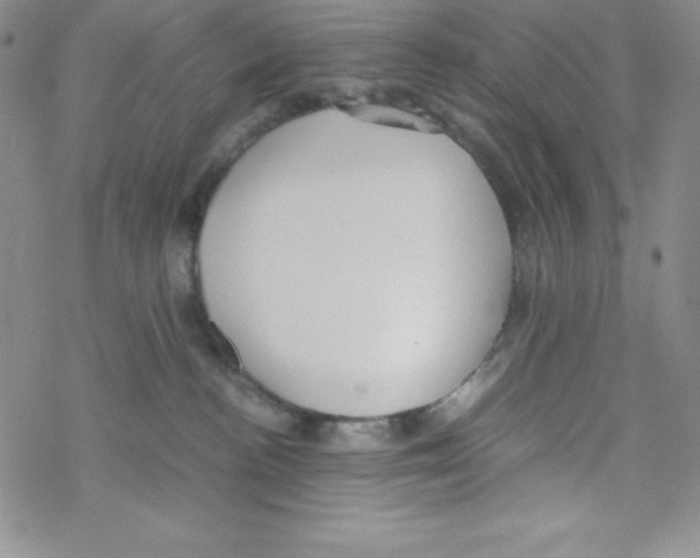 X0000069390188200606091726